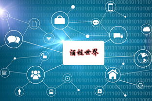 深圳區(qū)塊鏈技術酒鏈世界系統(tǒng)定制開發(fā)
